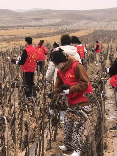 微信图片_20241018104724